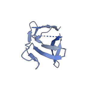 25750_7t92_H_v1-2
Structure of the peroxisomal retro-translocon formed by a heterotrimeric ubiquitin ligase complex