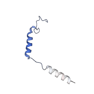 25751_7t94_D_v1-1
Cryo-EM structure of S1 state ACh-bound M2R-Go signaling complex with a PAM