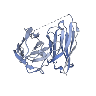 25751_7t94_E_v1-1
Cryo-EM structure of S1 state ACh-bound M2R-Go signaling complex with a PAM