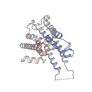 25752_7t96_A_v1-1
Cryo-EM structure of S2 state ACh-bound M2R-Go signaling complex with a PAM