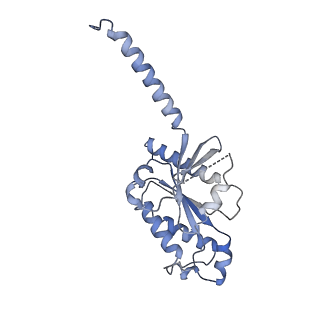 25752_7t96_B_v1-1
Cryo-EM structure of S2 state ACh-bound M2R-Go signaling complex with a PAM