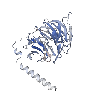 25752_7t96_C_v1-1
Cryo-EM structure of S2 state ACh-bound M2R-Go signaling complex with a PAM