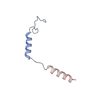 25752_7t96_D_v1-1
Cryo-EM structure of S2 state ACh-bound M2R-Go signaling complex with a PAM