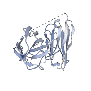 25752_7t96_E_v1-1
Cryo-EM structure of S2 state ACh-bound M2R-Go signaling complex with a PAM