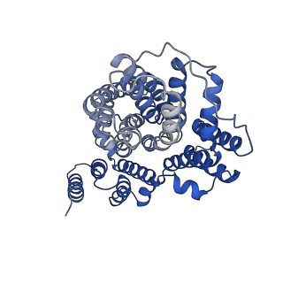 25756_7t9f_A_v1-0
Structure of VcINDY-apo