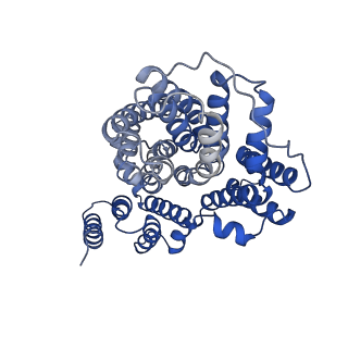 25756_7t9f_A_v1-1
Structure of VcINDY-apo