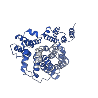 25756_7t9f_B_v1-0
Structure of VcINDY-apo