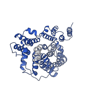 25756_7t9f_B_v1-1
Structure of VcINDY-apo