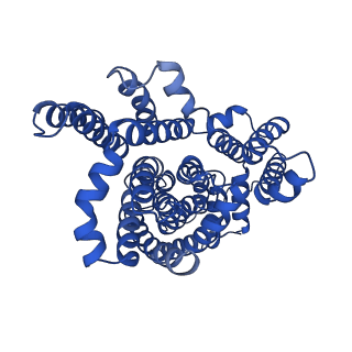 25757_7t9g_Y_v1-0
Structure of VcINDY-Na+