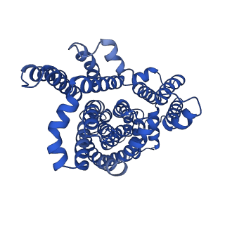 25757_7t9g_Y_v1-1
Structure of VcINDY-Na+