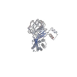 25758_7t9i_R_v1-2
Native human TSH bound to human Thyrotropin receptor in complex with miniGs399 (composite structure)