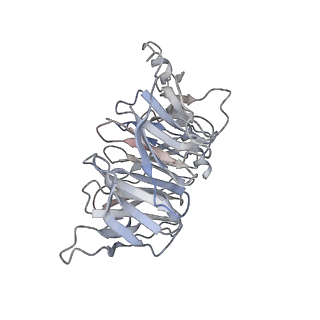25758_7t9i_Y_v1-2
Native human TSH bound to human Thyrotropin receptor in complex with miniGs399 (composite structure)