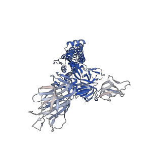 25759_7t9j_A_v1-1
Cryo-EM structure of the SARS-CoV-2 Omicron spike protein