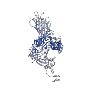 25759_7t9j_C_v1-1
Cryo-EM structure of the SARS-CoV-2 Omicron spike protein