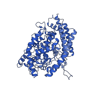 25761_7t9l_D_v1-1
Cryo-EM structure of SARS-CoV-2 Omicron spike protein in complex with human ACE2 (focused refinement of RBD and ACE2)