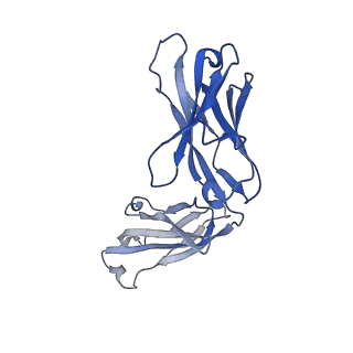 25762_7t9m_H_v1-2
Human Thyrotropin receptor bound by CS-17 Inverse Agonist Fab/Org 274179-0 Antagonist