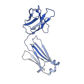 25762_7t9m_L_v1-2
Human Thyrotropin receptor bound by CS-17 Inverse Agonist Fab/Org 274179-0 Antagonist