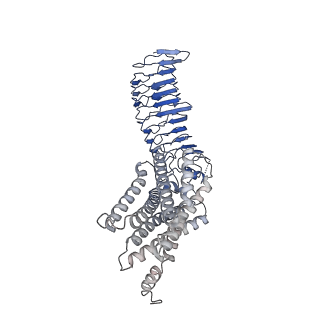 25762_7t9m_R_v1-2
Human Thyrotropin receptor bound by CS-17 Inverse Agonist Fab/Org 274179-0 Antagonist