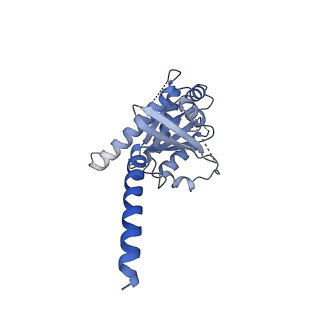 25763_7t9n_X_v1-2
M22 Agonist Autoantibody bound to Human Thyrotropin receptor in complex with miniGs399 (composite structure)