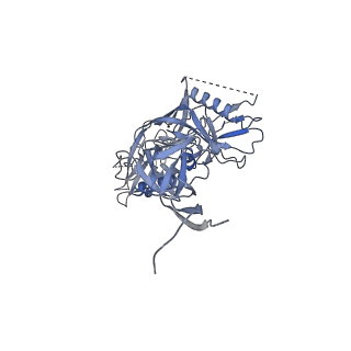 25767_7t9t_A_v1-0
Cryo-EM structure of CH235.12 in complex with HIV-1 Env trimer CH505TF.N279K.SOSIP.664 with complex glycans