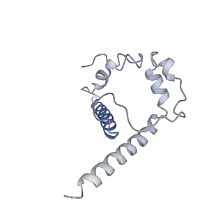 25767_7t9t_B_v1-0
Cryo-EM structure of CH235.12 in complex with HIV-1 Env trimer CH505TF.N279K.SOSIP.664 with complex glycans