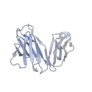 25767_7t9t_D_v1-0
Cryo-EM structure of CH235.12 in complex with HIV-1 Env trimer CH505TF.N279K.SOSIP.664 with complex glycans