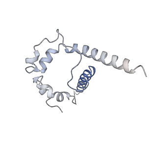 25767_7t9t_F_v1-0
Cryo-EM structure of CH235.12 in complex with HIV-1 Env trimer CH505TF.N279K.SOSIP.664 with complex glycans