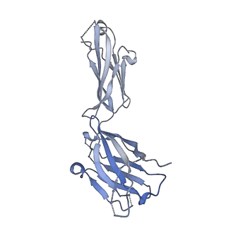 25767_7t9t_G_v1-0
Cryo-EM structure of CH235.12 in complex with HIV-1 Env trimer CH505TF.N279K.SOSIP.664 with complex glycans