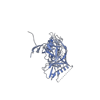 25767_7t9t_I_v1-0
Cryo-EM structure of CH235.12 in complex with HIV-1 Env trimer CH505TF.N279K.SOSIP.664 with complex glycans
