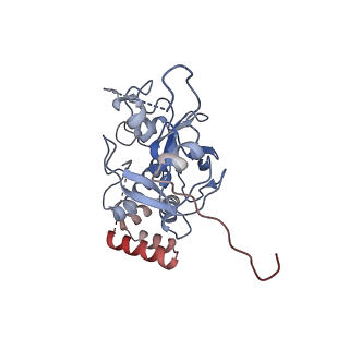 41109_8t9f_K_v1-0
Catalytic and non-catalytic mechanisms of histone H4 lysine 20 methyltransferase SUV420H1