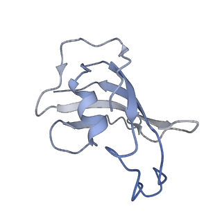 8372_5t9m_A_v1-2
Structure of rabbit RyR1 (Ca2+-only dataset, class 1)