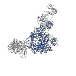 8372_5t9m_B_v1-3
Structure of rabbit RyR1 (Ca2+-only dataset, class 1)