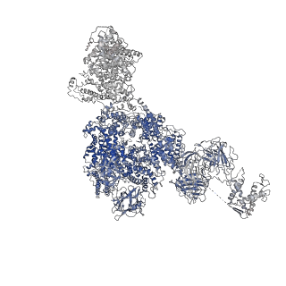 8372_5t9m_E_v1-2
Structure of rabbit RyR1 (Ca2+-only dataset, class 1)