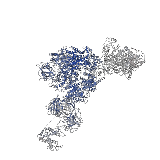 8372_5t9m_G_v1-2
Structure of rabbit RyR1 (Ca2+-only dataset, class 1)