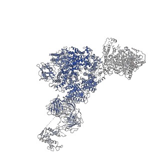 8372_5t9m_G_v1-3
Structure of rabbit RyR1 (Ca2+-only dataset, class 1)