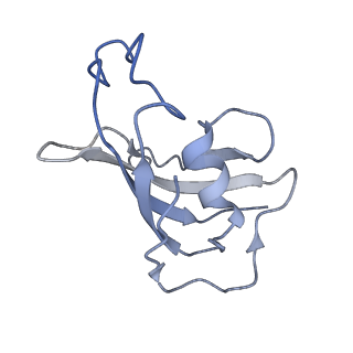 8372_5t9m_H_v1-2
Structure of rabbit RyR1 (Ca2+-only dataset, class 1)