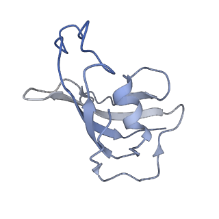 8372_5t9m_H_v1-3
Structure of rabbit RyR1 (Ca2+-only dataset, class 1)