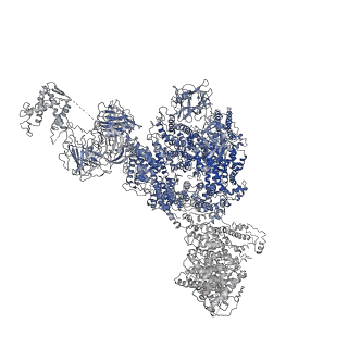 8372_5t9m_I_v1-2
Structure of rabbit RyR1 (Ca2+-only dataset, class 1)