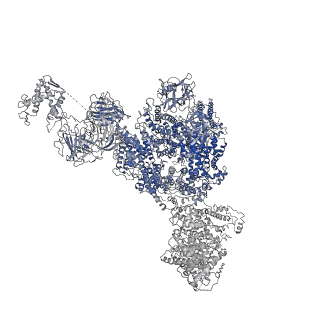 8372_5t9m_I_v1-3
Structure of rabbit RyR1 (Ca2+-only dataset, class 1)