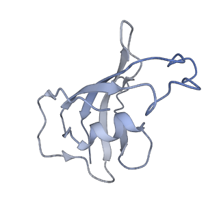 8372_5t9m_J_v1-2
Structure of rabbit RyR1 (Ca2+-only dataset, class 1)