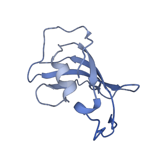 8373_5t9n_A_v1-2
Structure of rabbit RyR1 (Ca2+-only dataset, class 2)