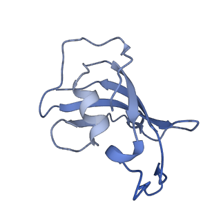 8373_5t9n_A_v1-3
Structure of rabbit RyR1 (Ca2+-only dataset, class 2)