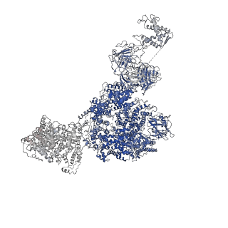 8373_5t9n_B_v1-3
Structure of rabbit RyR1 (Ca2+-only dataset, class 2)