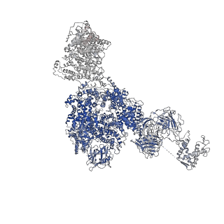 8373_5t9n_E_v1-3
Structure of rabbit RyR1 (Ca2+-only dataset, class 2)