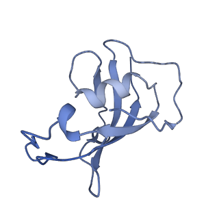 8373_5t9n_F_v1-2
Structure of rabbit RyR1 (Ca2+-only dataset, class 2)