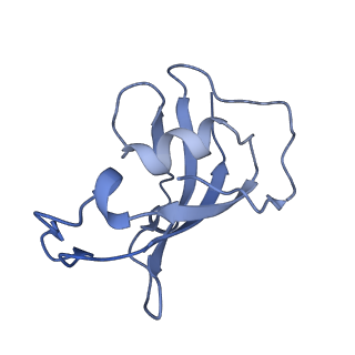 8373_5t9n_F_v1-3
Structure of rabbit RyR1 (Ca2+-only dataset, class 2)