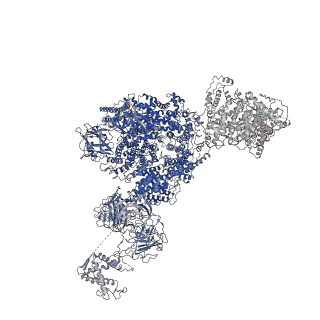 8373_5t9n_G_v1-2
Structure of rabbit RyR1 (Ca2+-only dataset, class 2)