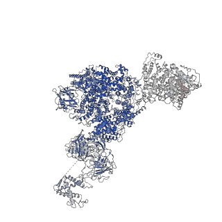 8373_5t9n_G_v1-3
Structure of rabbit RyR1 (Ca2+-only dataset, class 2)