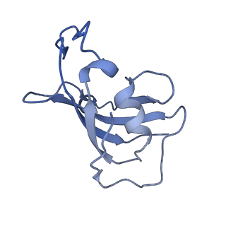 8373_5t9n_H_v1-2
Structure of rabbit RyR1 (Ca2+-only dataset, class 2)