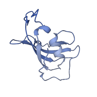 8373_5t9n_H_v1-3
Structure of rabbit RyR1 (Ca2+-only dataset, class 2)